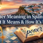 Poner Meaning in Spanish